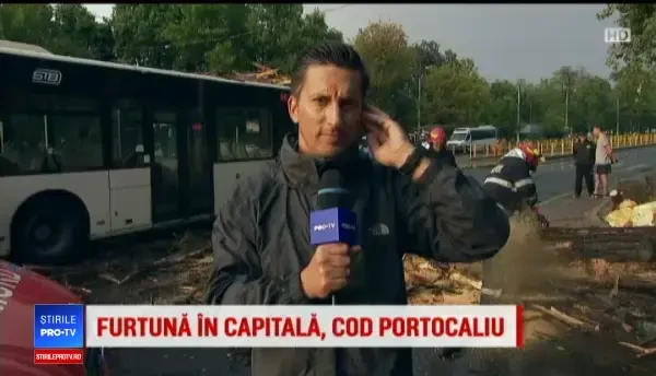 Furtună puternică în București, duminică seara. Un copac a căzut peste un autobuz în care se aflau mai mulți pasageri