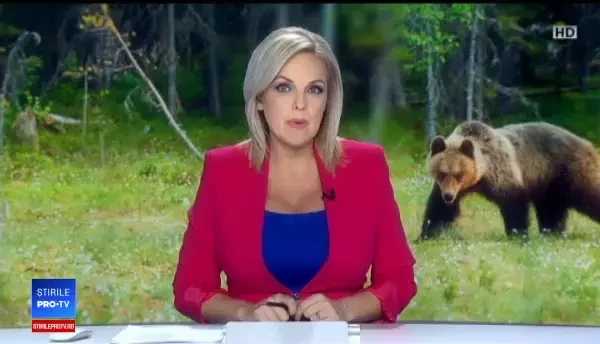 Doi bărbați au fost atacați de urs în Argeș. Avertizare prin RO-ALERT