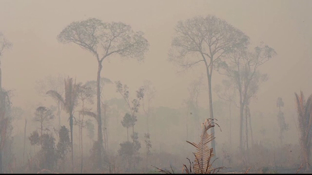 Condiția pusă de Bolsonaro ca să accepte ajutorul pentru stingerea incendiilor din Amazon