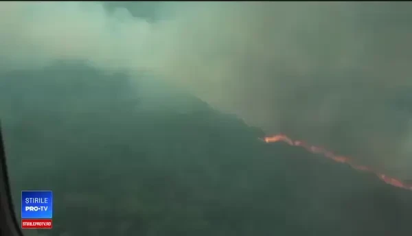 Președintele Braziliei, considerat vinovat pentru dezastrul din pădurea amazoniană