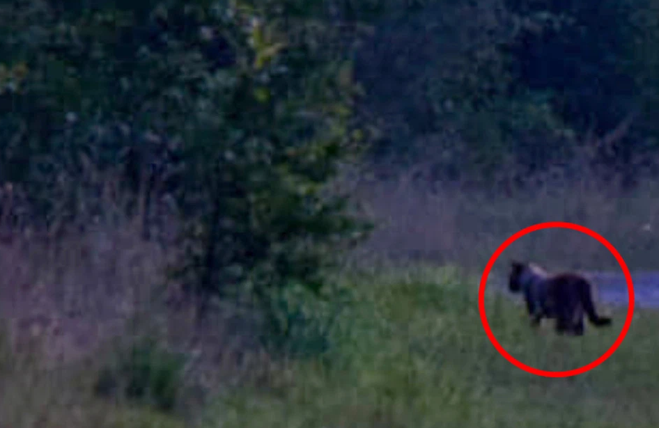 Ce a surprins un fotograf în Anglia: „N-am mai văzut așa ceva până acum”