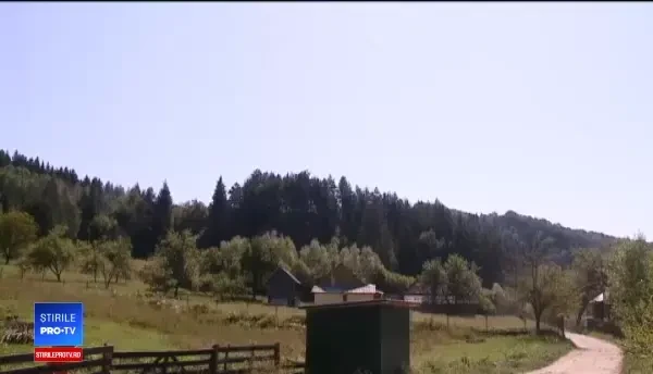 Cazul copiilor nemți maltratați în Maramureș. Localnicii resping acuzațiile