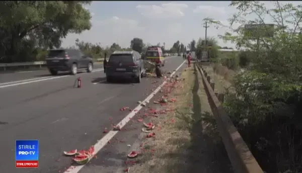 Un căruțaș și calul lui, spulberați de o șoferiță în Prahova. Animalul a fost eutanasiat