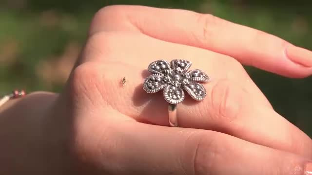 Tigrul platanului face ravagii în parcurile din țară: "Nu reacţionează la niciun spray"