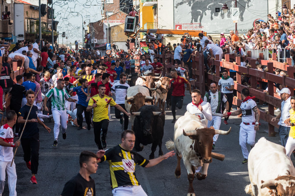 A murit în timpul unui festival. Ce i-a adus sfârșitul unui bărbat de 62 de ani