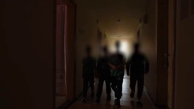 Filmul ororilor din Maramureș: copiii nemți erau înhămați la căruță, alături de animale