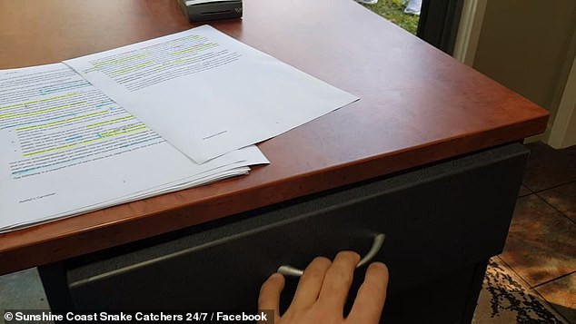 Momente de groază pentru o femeie care era la muncă. Ce a găsit într-un sertar. VIDEO