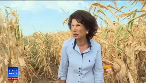 Zonele din România cu secetă extremă. Fermierii, disperați: ”Căldurile au fost năucitoare”