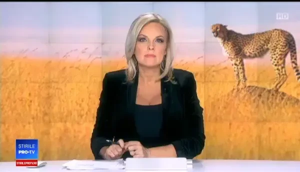 Gheparzii, un accesoriu pentru bogați. Prețul unui pui în "supermarket"