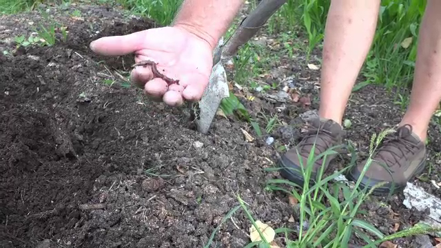 Suma uriașă câștigată de un fermier care crește râme. Cum i-a venit ideea