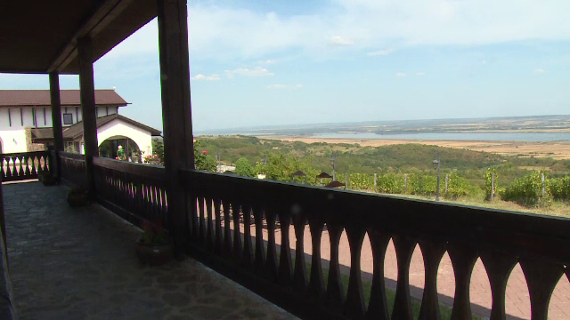 Podgoria din România unde turiștii se simt în Toscana: „Mi-a declanşat o emoţie teribilă”