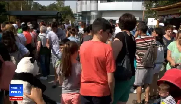 Locul de pe litoral în care se refugiază turiștii când e vremea rea: „Super încântată”