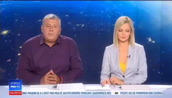 Urs descoperit într-o cameră de hotel. Cum a fost alungat