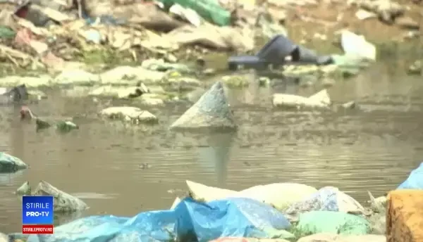 Unul dintre cele mai mari oraşe din lume, invadat de roiuri uriaşe de muşte. "Trăim în iad"