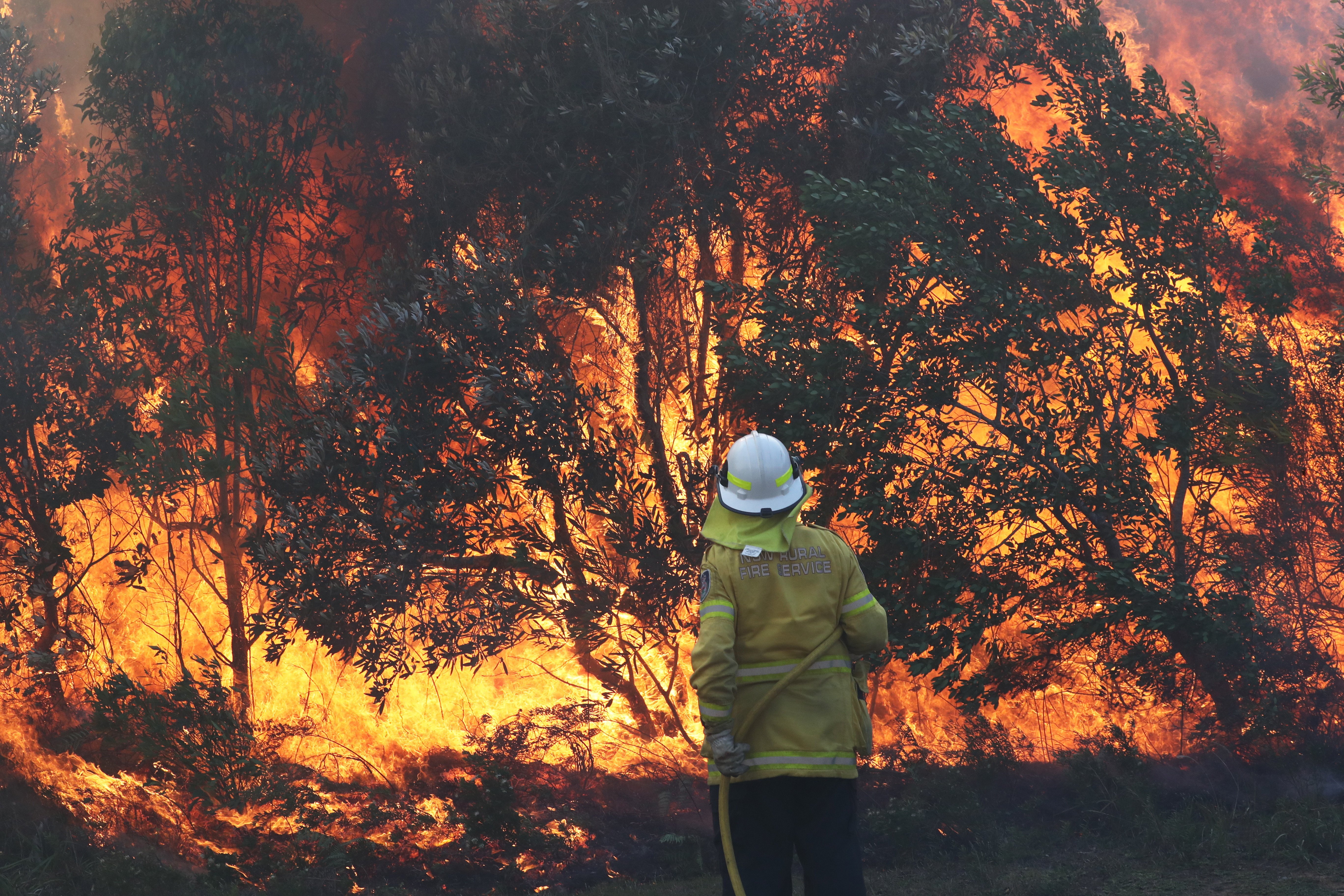 Grave incendii de vegetație în Australia. Zeci de case au fost mistuite