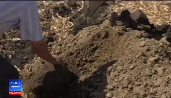 Situație critică în țară. Descoperirea unor fermieri care au săpat o groapă de 1,7 m adâncime