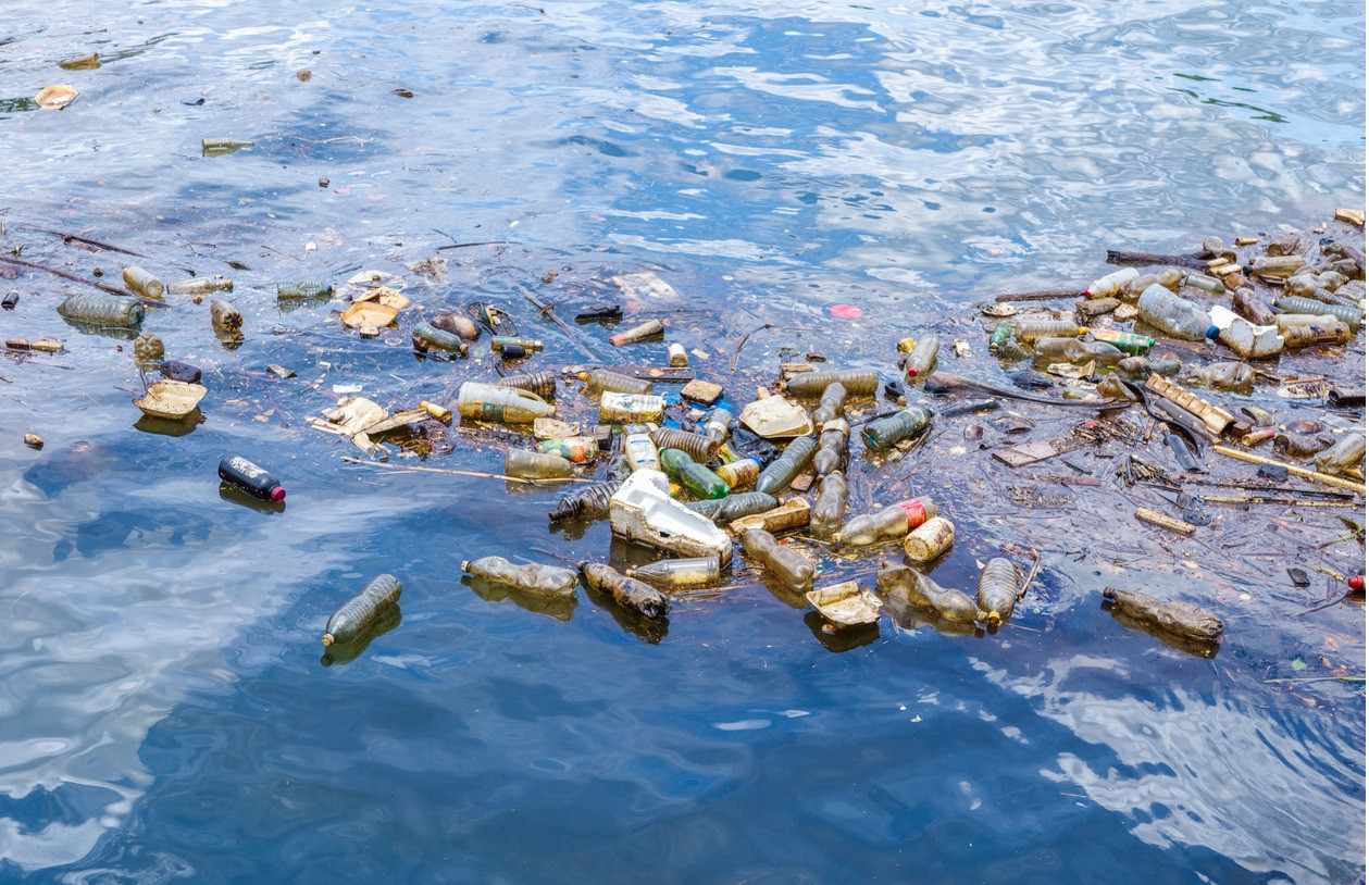 Soluție împotriva poluării. Satul în care oamenii primesc orez în schimbul deșeurilor