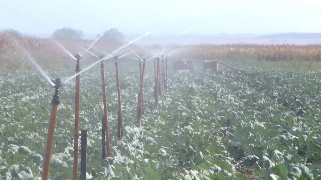 Banii europeni alocaţi tinerilor fermieri, epuizaţi cu 2 ani mai devreme. Investiţiile făcute