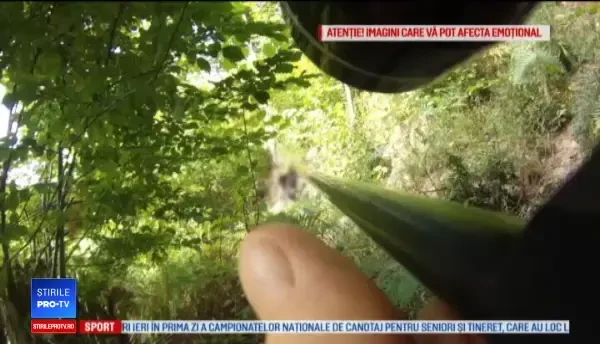 Cum vor oamenii să țină urșii la distanță de casă. Metoda îi poate trimite după gratii