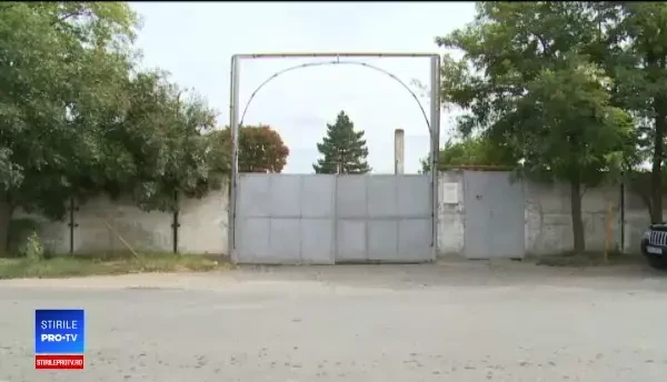 Dezastru pentru ferma de porci Gropeni. Proprietarul trebuie să ucidă 16.000 de animale