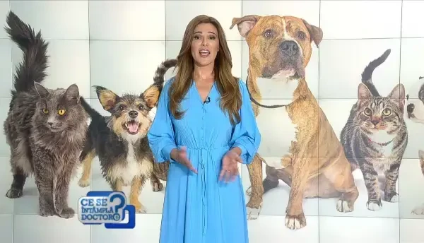 De ce este recomandat ca fiecare copil să aibă un câine lângă el. Ce spun medicii