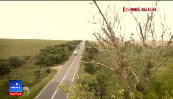 Județul Teleorman, pol al sărăciei, în ciuda potențialului uriaș. „Copiii sunt infractori”