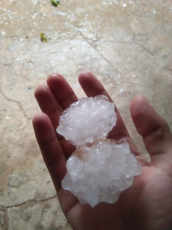 Grindina a distrus în doar 15 minute rodul viilor și pomilor dintr-o comună din Botoșani