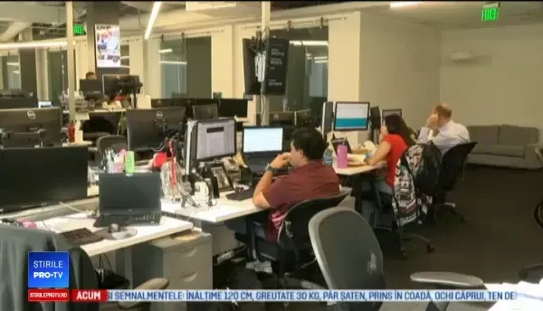 Angajații unei firme vin cu animalele de companie la serviciu. „Le dă energie tuturor”