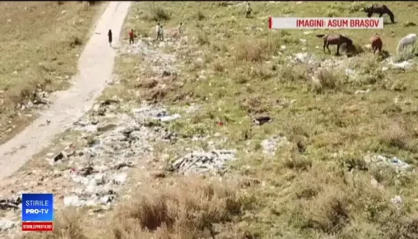Peisaj dezolant în Codlea, din cauza gunoaielor. Autoritățile se declară „depășite”