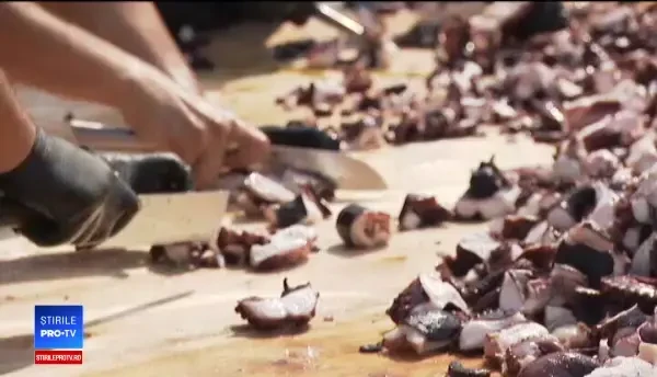 Reacția unor copii la vederea unei specialități cu caracatiță: „N-am văzut așa ceva"