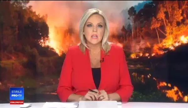 Amplu incendiu de vegetație, în Portugalia. Patru pompieri au fost răniți