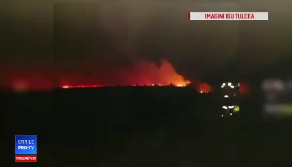 Incendiu puternic în Delta Dunării. 10 hectare de vegetaţie uscată, cuprinse de flăcări