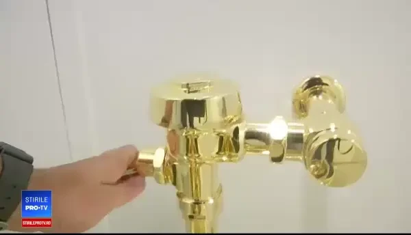 Un vas de toaletă în valoare de 1 mil.£ a fost furat. Din ce material era confecționat