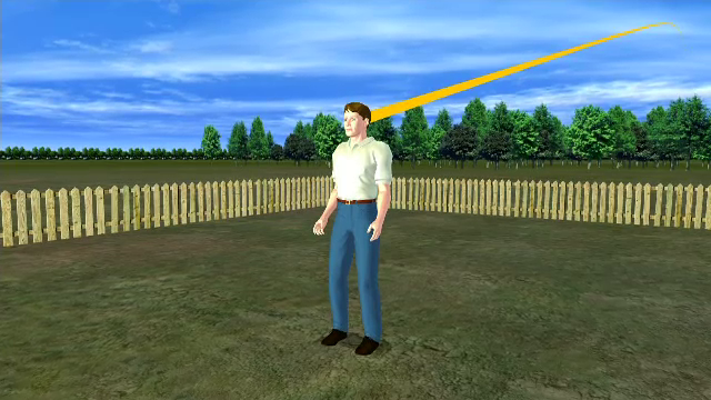 ANIMAȚIE GRAFICĂ. Cum a fost lovit în cap de un glonț tânărul din Gorj