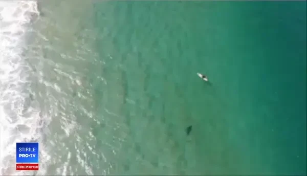 A filmat cu drona cum un rechin se apropie de un surfer