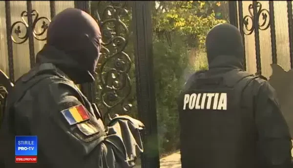 Unde au ajuns animalele exotice confiscate de la ferma clanului Cămătaru