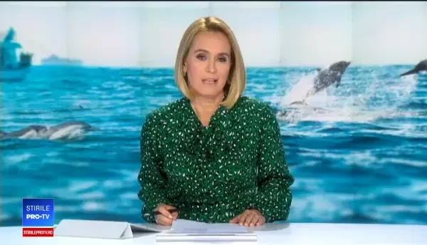 Lanț uman pentru a salva patru delfini blocați într-un canal din Florida