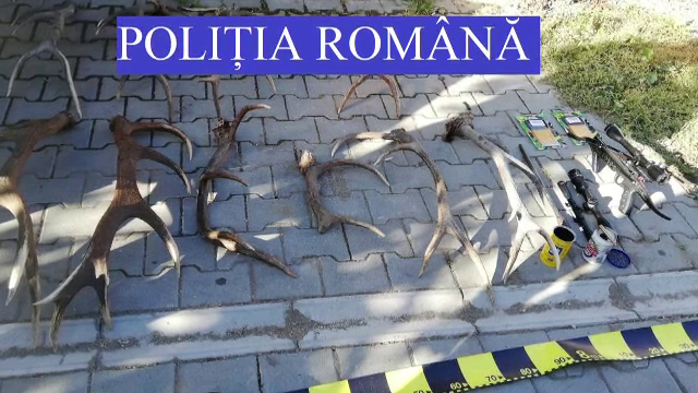 Şase persoane din Mureş sunt cercetate penal într-un dosar de braconaj