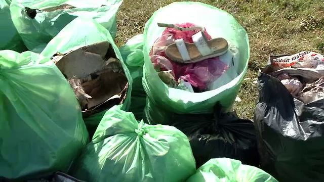 Let's do it, România! Voluntarii au strâns zeci de saci de gunoaie
