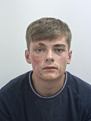 hot zgariat de pisica