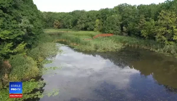 Celebrul Lac cu Nuferi, care l-a inspirat pe Eminescu, zace în paragină. Ce spun autoritățile