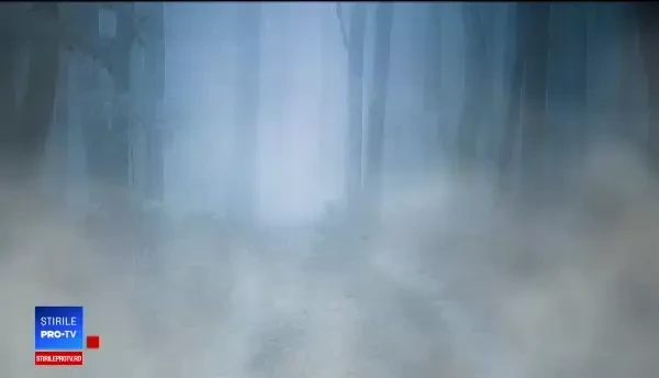 Protest cu cruci la Parlament: „Trebuie să alegem direcţia vântului dacă vrem să tragem un foc”