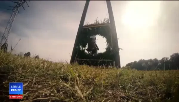 Cum a ajuns un cal din Ecuador în România. Valorează 340.000 de euro