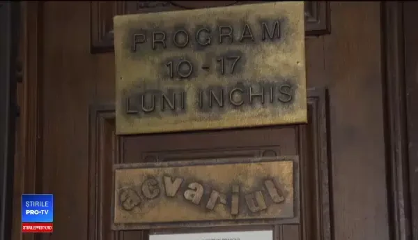 Planuri pentru dezvoltarea acvariilor din România, aflate momentan în paragină