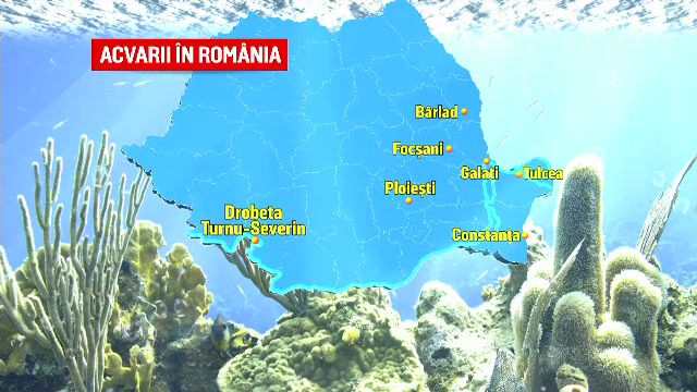 Acvariile din România, lăsate în paragină: „A fost grajd, a fost depozit de vinuri”