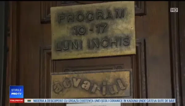 Acvariile din România, lăsate în paragină: „A fost grajd, a fost depozit de vinuri”