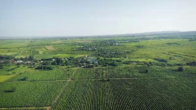 JUDEȚE LA STĂP&Acirc;N! VRANCEA, partea I - 2