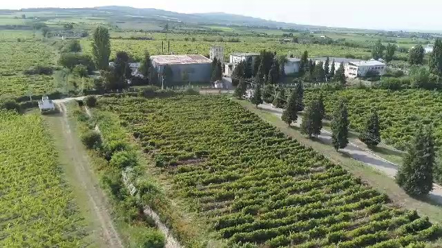 JUDEȚE LA STĂP&Acirc;N! VRANCEA, partea I - 5