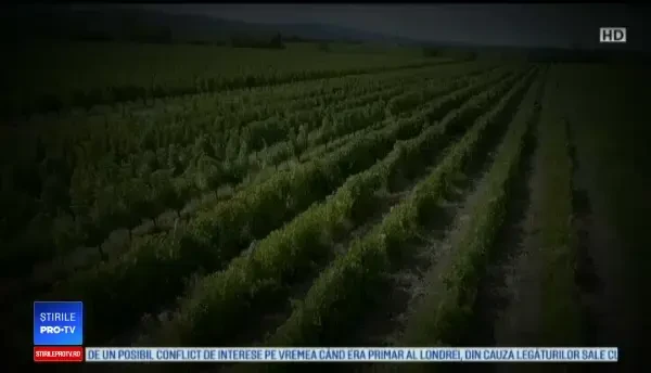 Radiografia unui județ golit de tineri, la cârma căruia este de 20 de ani Marian Oprișan