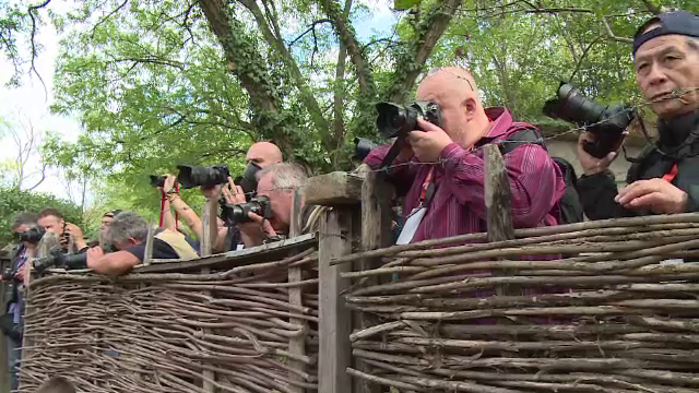 Un sat din Bihor, sursă de inspirație pentru fotografii străini. Ce le-a atras atenția